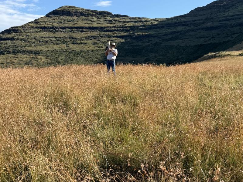 0 Bedroom Property for Sale in Fouriesburg Free State